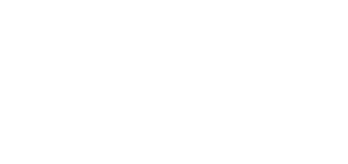 Vinci
